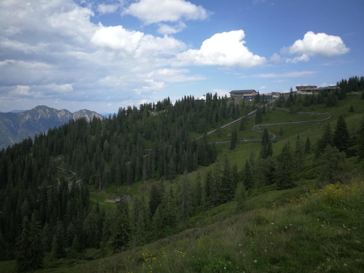 Alpbachblick Lägenhet Exteriör bild
